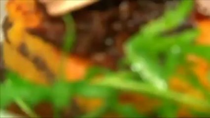 Spot Machu Picchu 100 years