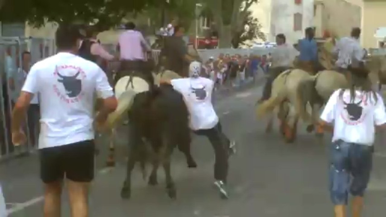 abrivado portiragnes feria 2013 21/07/2013 CLIP0010