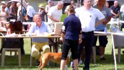 Full-Frame à l'exposition de Lillers