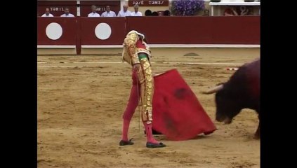 Jose Tomas en Bayona