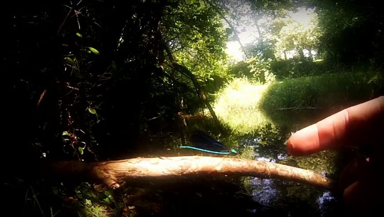 demonstration camera gopro hero 3 silver