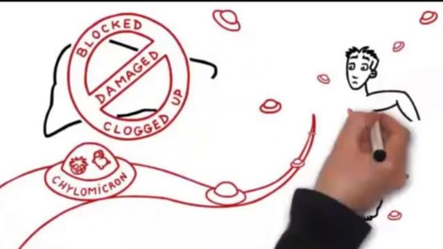 Fat Loss Factor - The Fat Loss Factor by dr. charles livingston