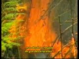 Os Piores Desastres do Mundo - Ep 12 Piores Incêndios Florestais [BBC]