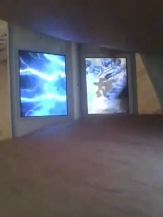 Capture de Zekrom et Remerciement