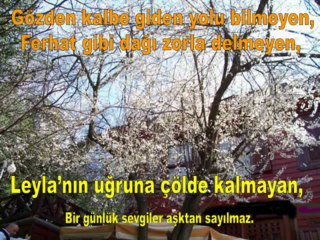 MURAT ARICI - SEVGİLİLER GÜNÜYMÜŞ - Kopya