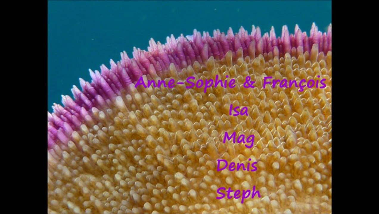 Week-end en Baie de Prony, Nouvelle-Calédonie