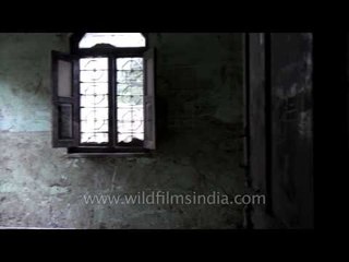 House affected by Uttarakhand flood