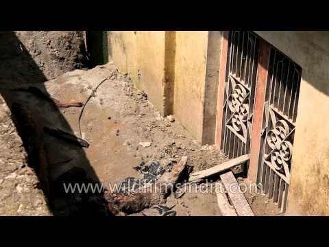 House filled with silt in Silli: Uttarakhand floods