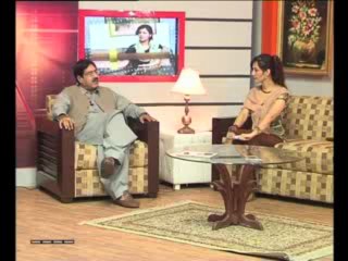 Counter View With Rabi Pirzada (Part 01) (20.07.2013)