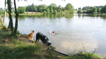 Mes acro à la balle