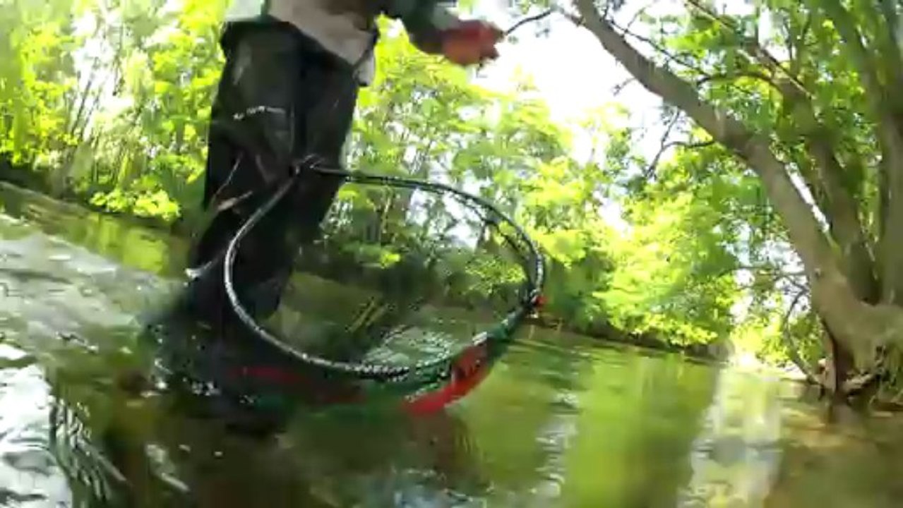ombre de la sorgue