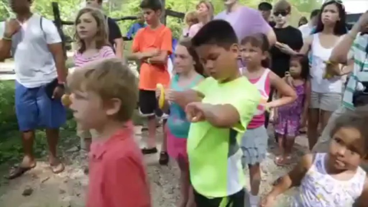 What People Are Saying about DreamTrips and WorldVentures