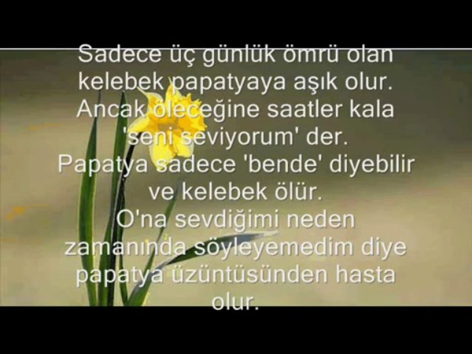 Seslikumsal, seslikumsal.com, seslikumsal.net, sesli kumsal