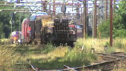 Grenzbahnhof Padborg,2 Sechsachser Baureihe EG von DBS Green Cargo,2x DSB IC3 Gummischnauze,MRCE 189