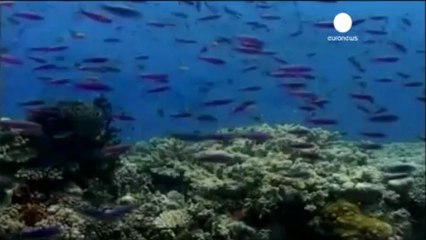 Australie: des chasseurs larguent des bombes près de la...