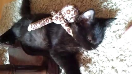 jeu avec Mélusine 2