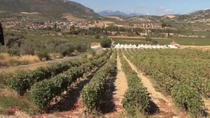 Eleni - Album: Return to Homeland (George Skaroulis) - Videos of Greece