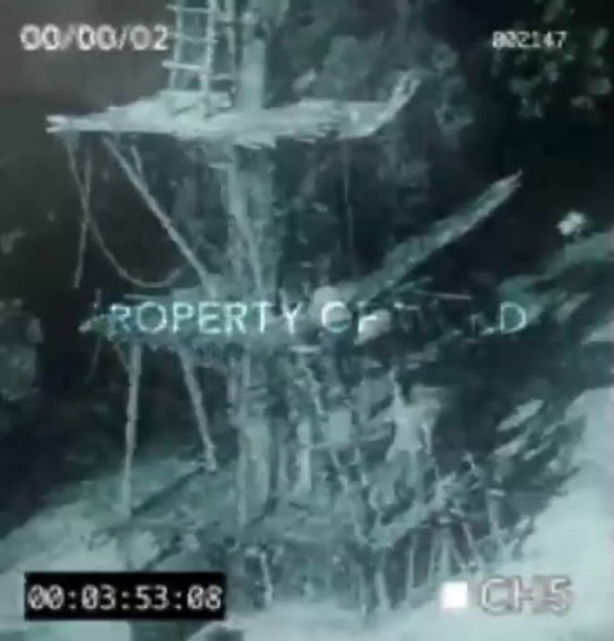 Maze Runner - LookOut Tree