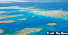 U.S. Navy Jets Drop 4 Unarmed Bombs on Great Barrier Reef