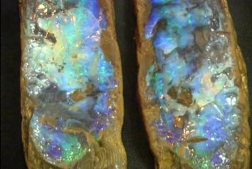 OPAL Presentation Spanish