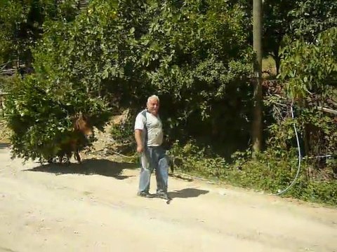 Kst Şenpazar Aybasan