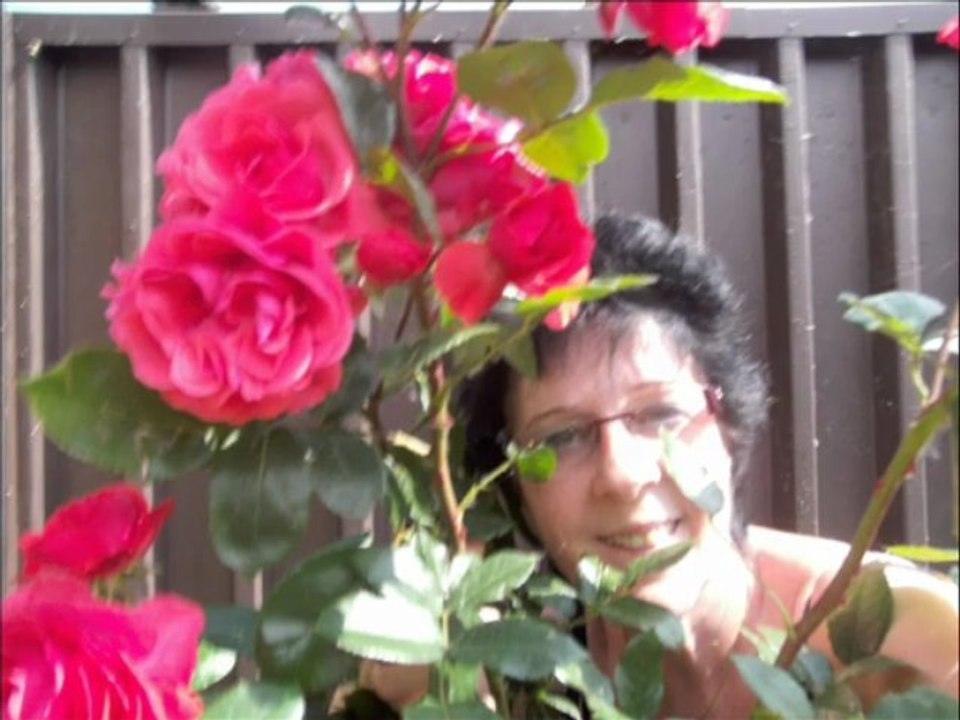 linda ..j,adore cette chanson