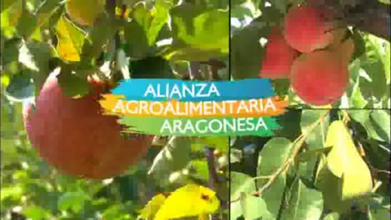 alianza-Title1