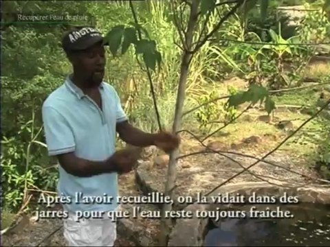 Une maison adaptée à son environnement - Récupérer l'eau de pluie