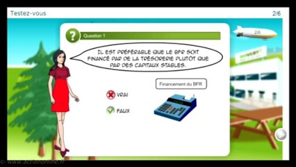 P11 : Finance pour Managers - M113 : Variations de la trésorerie et du résultat