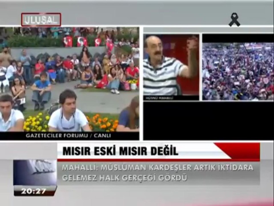 ARAP BAHARI, AMERİKAN PLANI