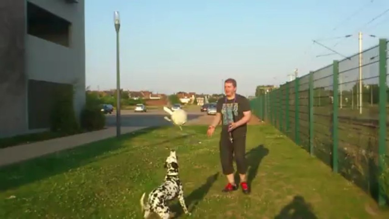 diane fait des têtes 2!