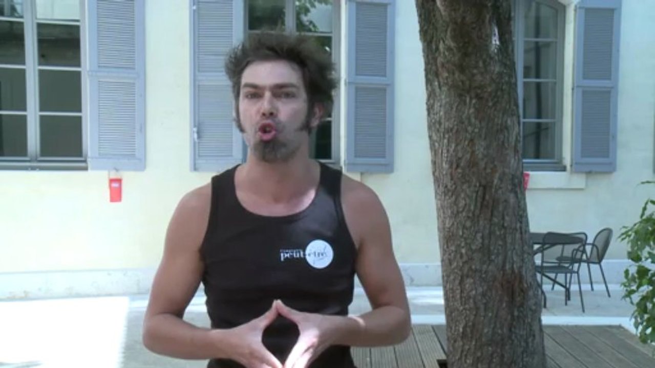Vidéomatons du OFF 2013 - Paradoxe(s)