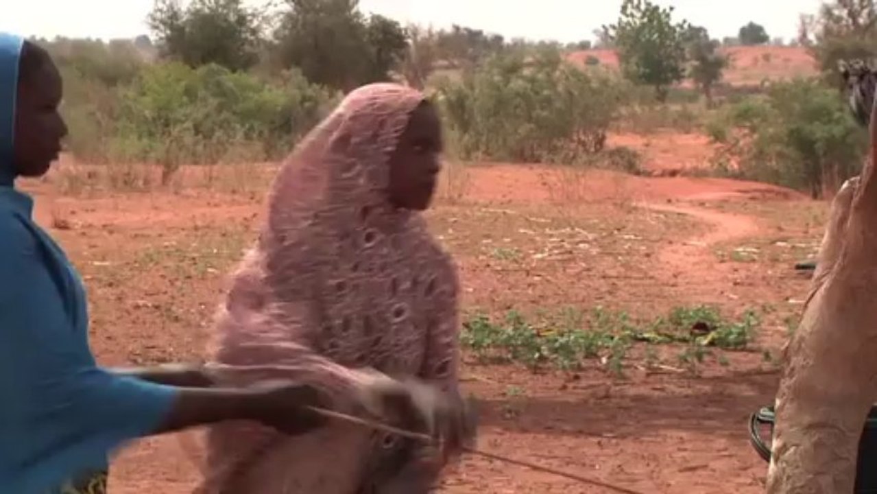 Projet "Cash for work" au Niger