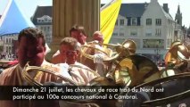 Le Concours Des Chevaux De Trait Du Nord Fête Ses 100 Ans à Cambrai