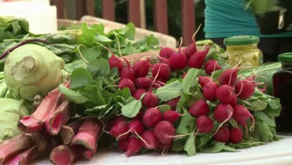 Polonia suma sabor y ecología