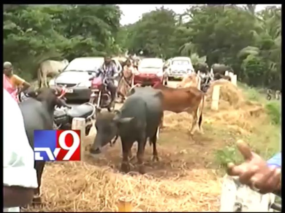 Water level in Godavari increases again