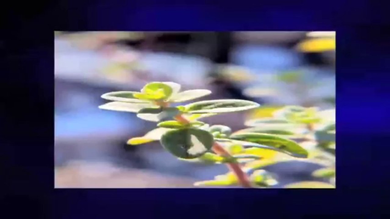 Indian hit songs 2013 new romantic hindi best music remix 2012 dance top CD playlist