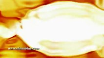 Video Backgrounds - Animated Backgrounds - Motion FX0505