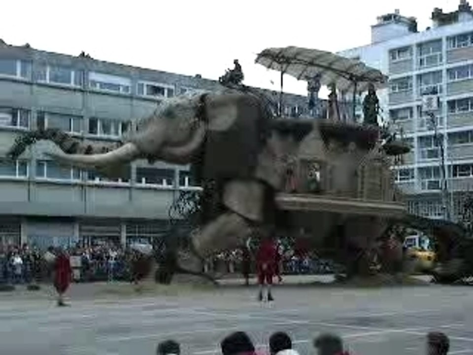 Le lever de l'éléphant