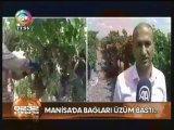 ege tv Haber - 18.07.2013 - Manisa Bağcılık Araştırma İstasyonu Müdürlüğü