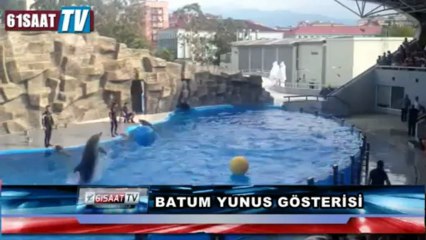 Batum'da ilgi çeken Yunus gösterisi