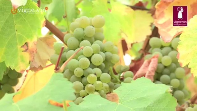 Jacques Legros de Terreetvigne au Domaine Tabordet