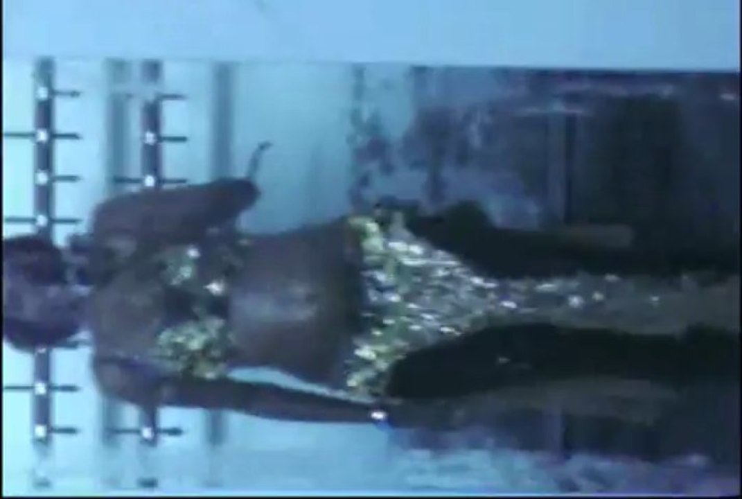 Hire a bellydancer in London, UK/ Christmas/ New Years Eve parties (party ideas)