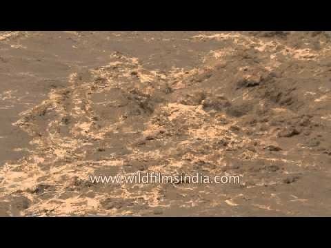 The fury of Mandakini: The river that devastated the valley