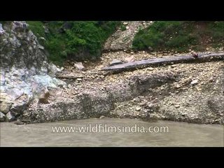 Uttarakhand: This road just disappears into a cliff, with the river below!