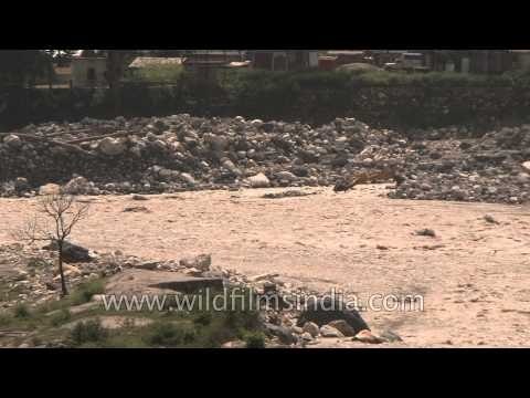 Debris filled banks and mud filled Mandakini: Agastyamuni