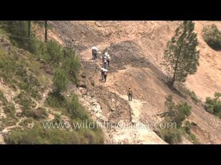 Through muddy mountain trails: At Janpad, Agastyamuni