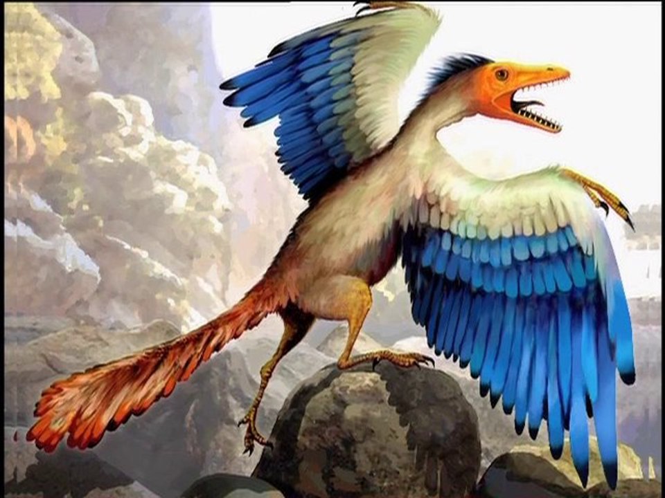 Film: MUTATIONS ET MÉTAMORPHOSES - 3 - Quand les poules auront des dents