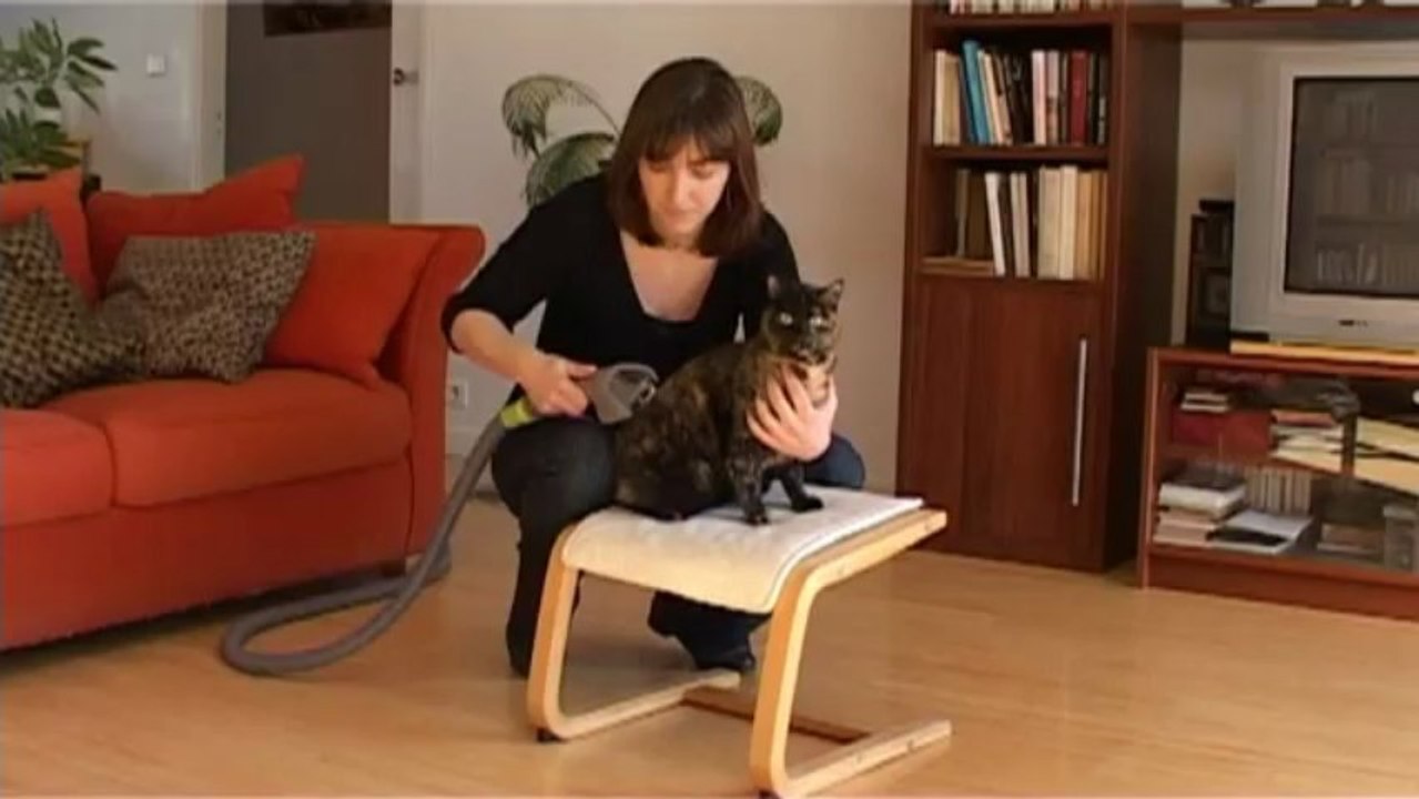 Maxi kit de toilettage avec effileur Jappyland