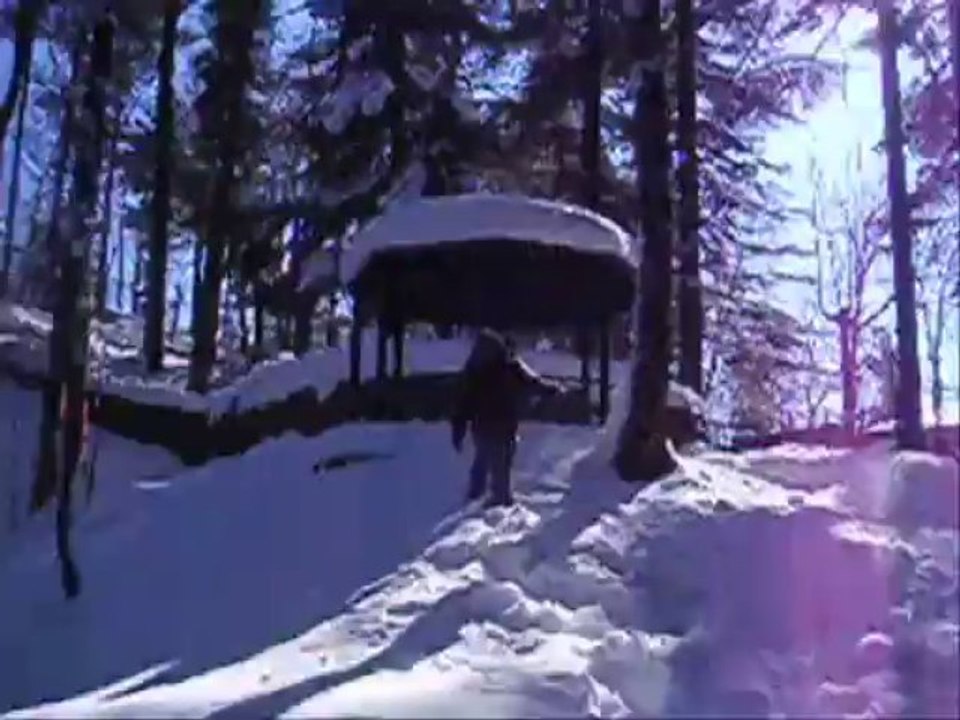 PASHA